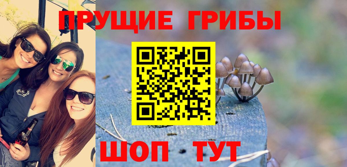 Галлюциногенные грибы мицелий Ливны